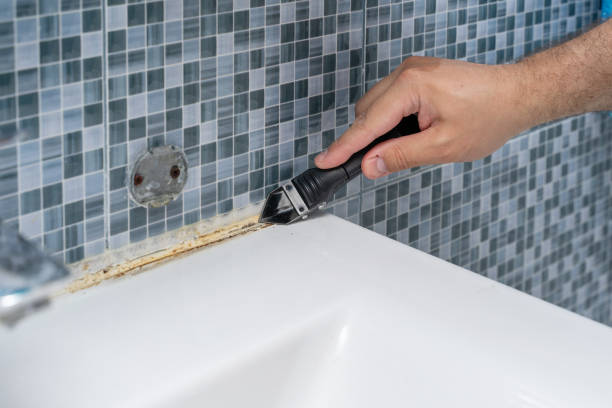 Certified Mold Removal in Cambridge, MA